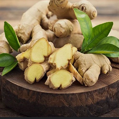 Ginger Exporters