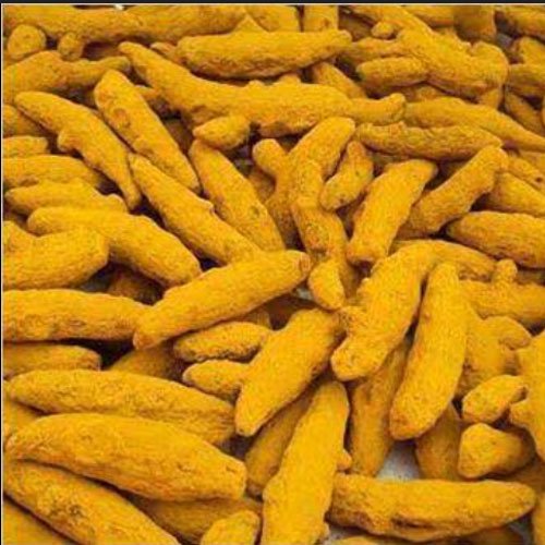 Finger Turmeric